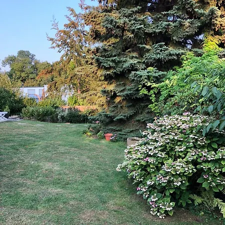 Ganzes Haus In Ruhiger Lage Zwischen Heidelberg Und Mannheim Hébergement de vacances Edingen-Neckarhausen